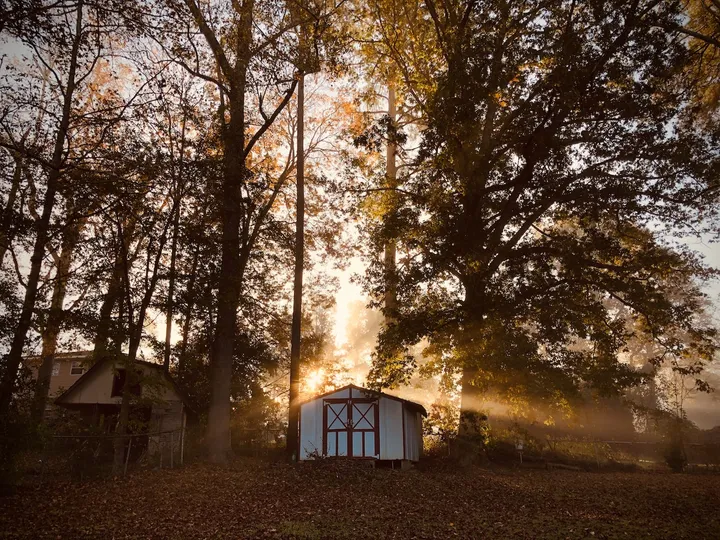 Building a Backyard Shed